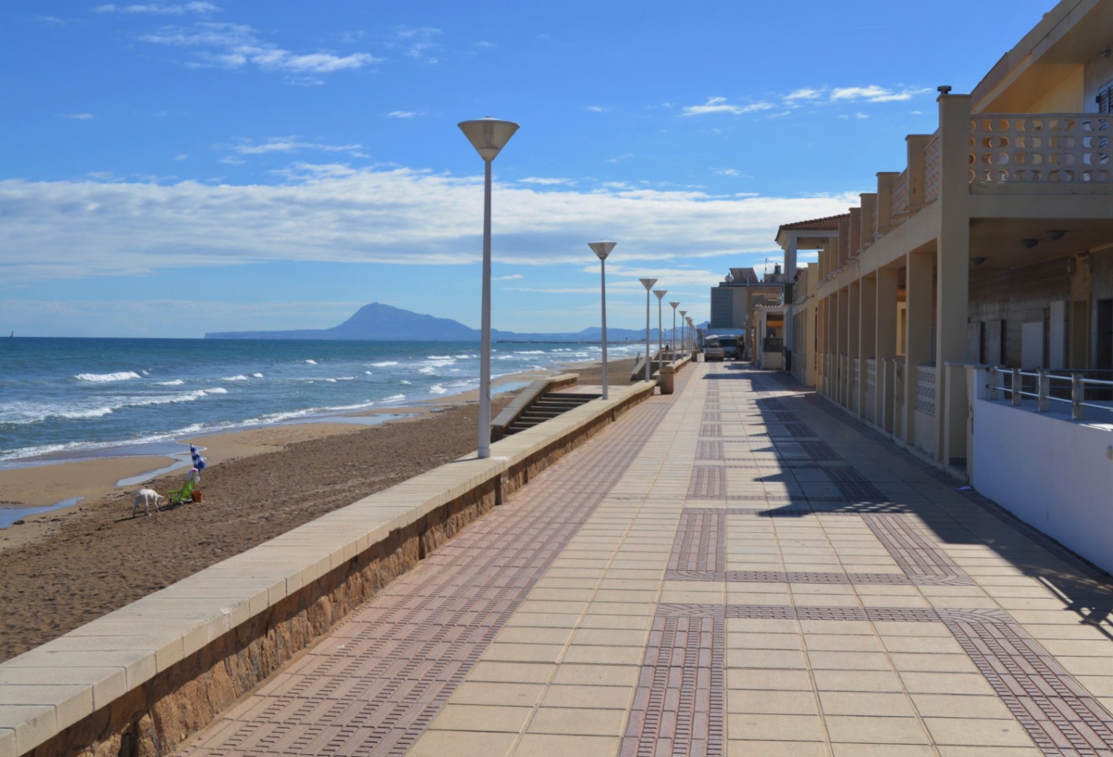 Oliva